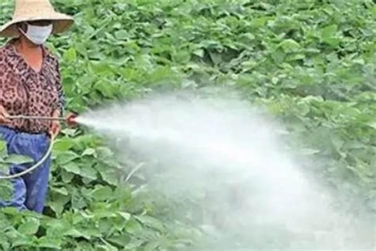 植物营养液的使用方法和注意事项