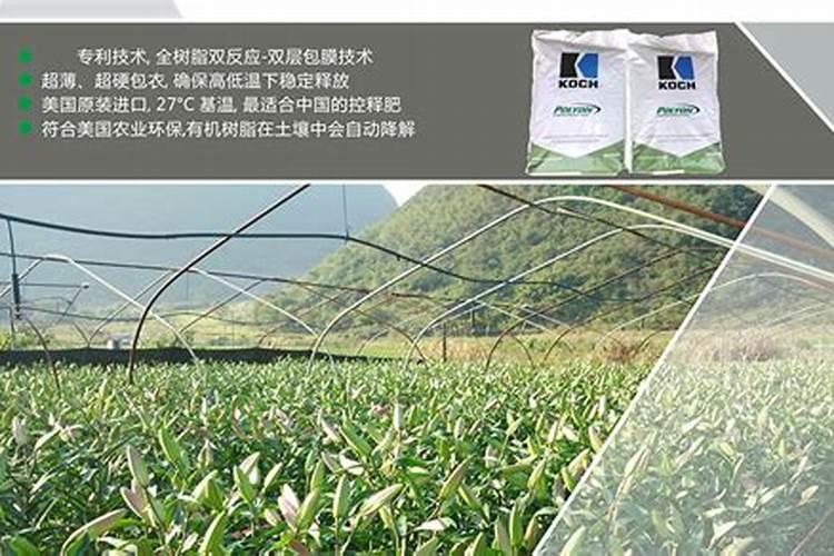 自制有机肥沤多久 有机肥自制需要沤多久？