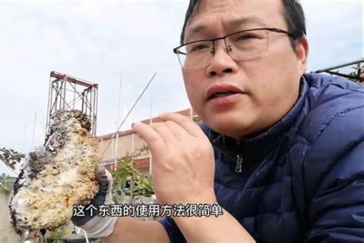 磷酸二氢钾怎么用效果好