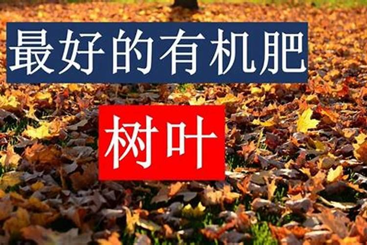 谁知道香灰放到土里可以种菜吗？有害吗？