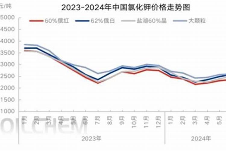 给李子树施肥的时候,应该注意什么？