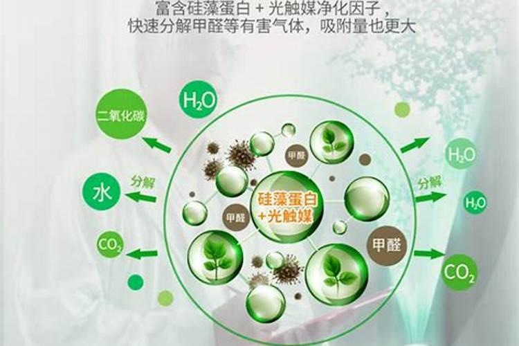 食用盐的股票有哪些？