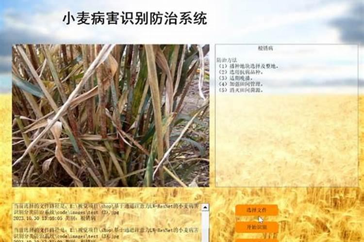 怎样才能让小麦在后期管理中更好的补“钙”呢？