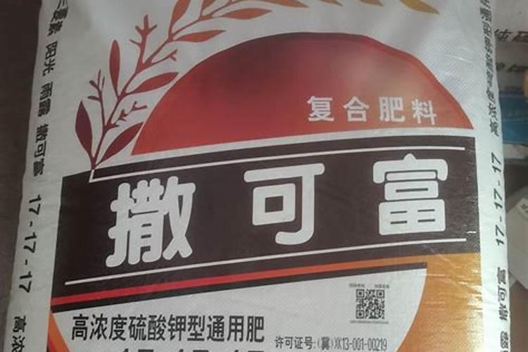 “有机肥之父”李春岭与白云黑土农业落户桂林