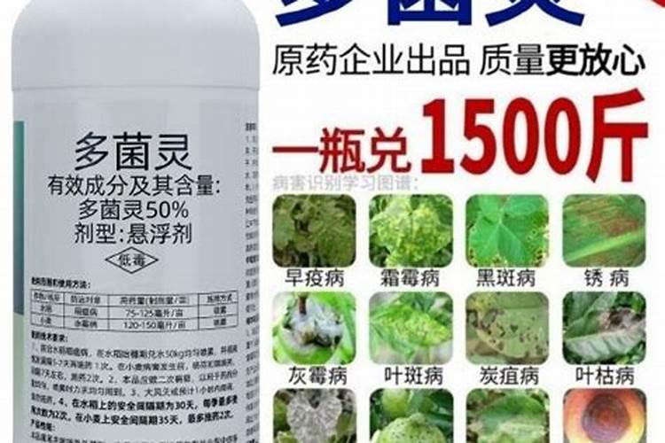 叶枯病十大特效药
