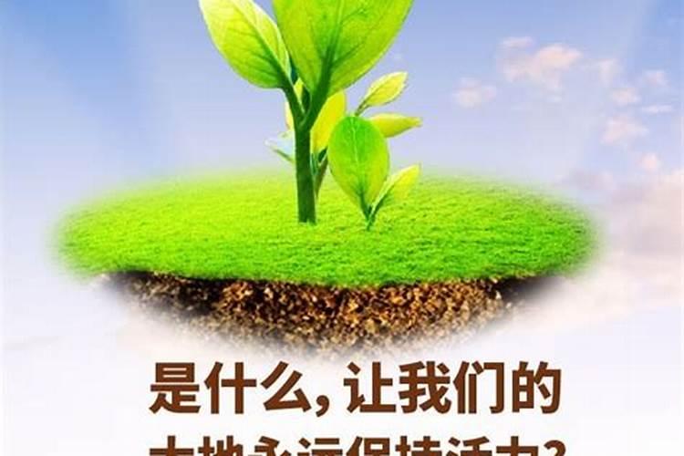 金倍丰两全保险(分红型)优缺点？好吗？