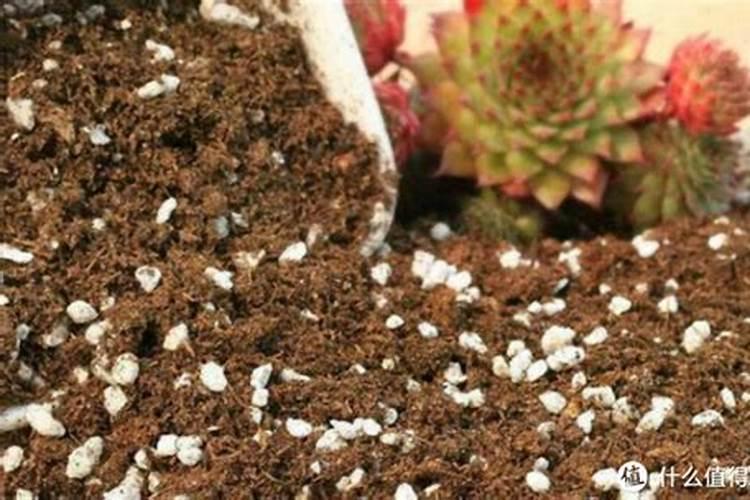 碱性土壤怎样施肥才能杀碱？