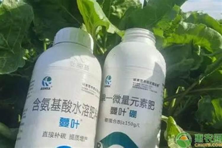 叶面肥配方包含什么物质