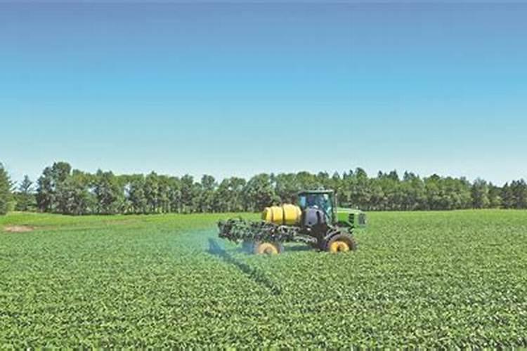 油菜小苗可以用尿素叶面喷洒花卉百科