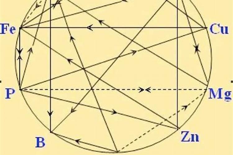 植物的营养元素间有哪些作用？
