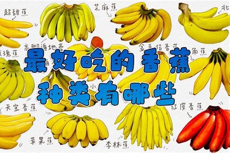 种香蕉用什么肥料最好