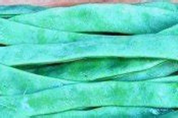 芸豆和豆角的区别