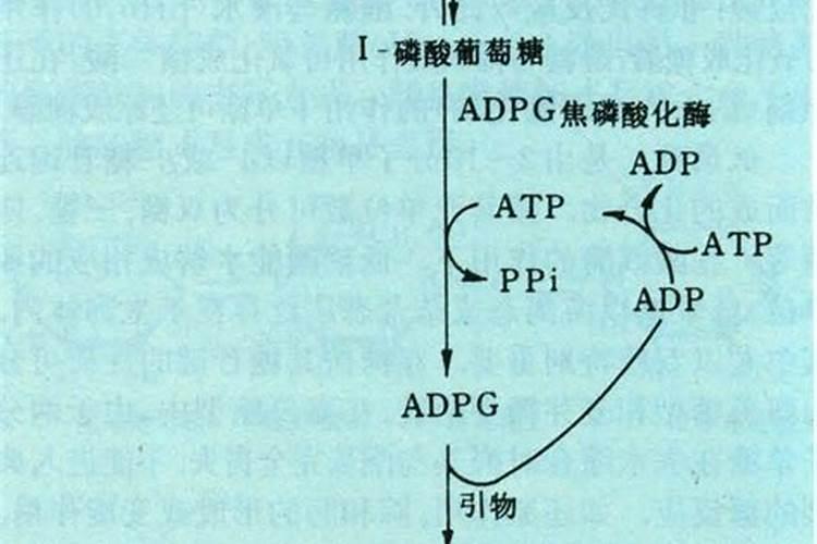 发酵肥料怎么做