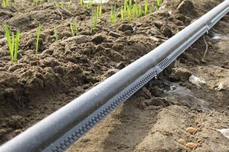 水溶肥浇地的方法