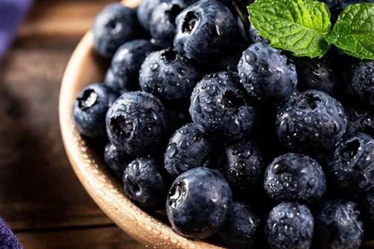 请问蓝莓用什么肥料最好