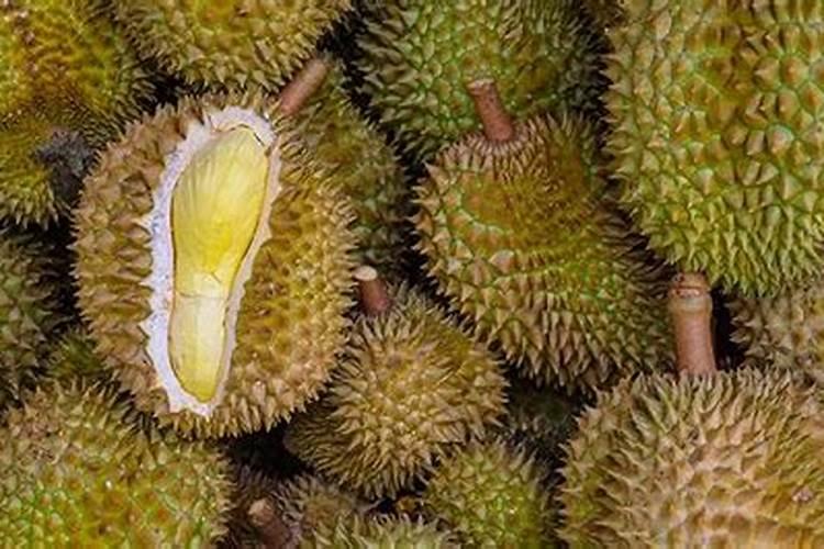 榴莲皮可以做肥料吗