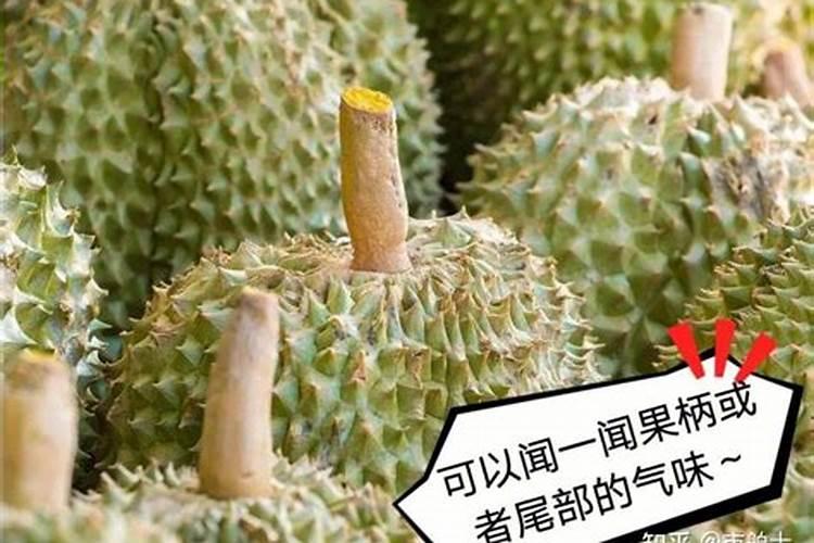 榴莲皮可以打什么