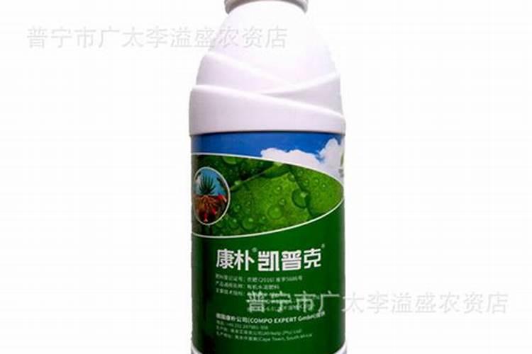 西梅施什么肥料好？叶面喷什么好？膨大增产肥料“调色师”