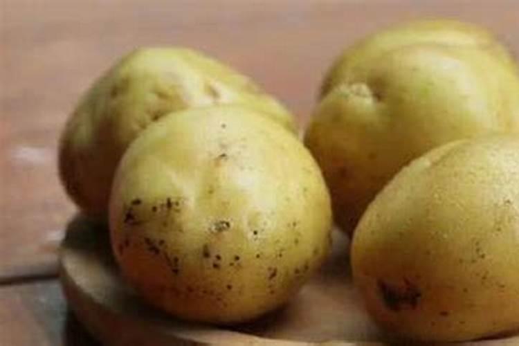 钾肥是什么肥料