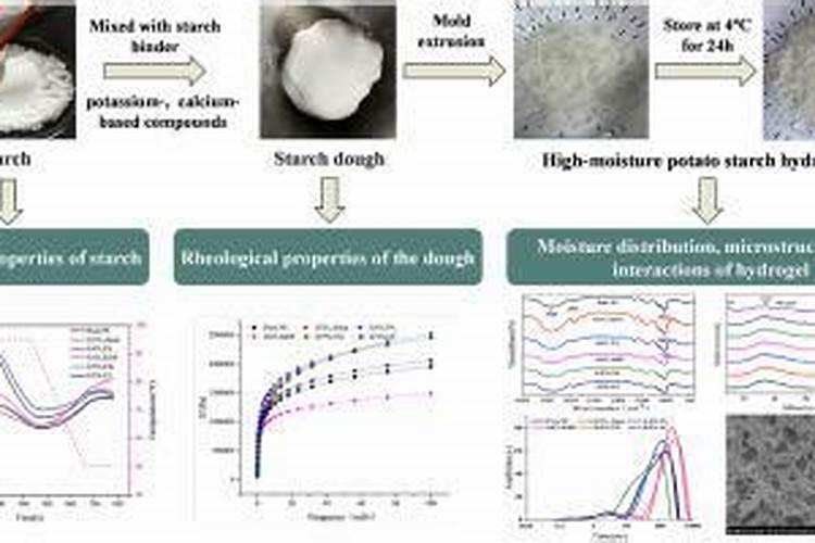 人尿和淘米水哪个肥