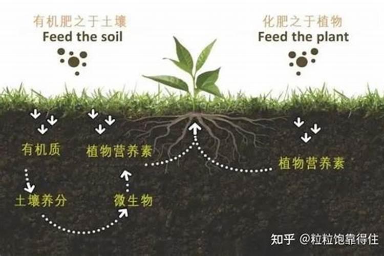 大量元素水溶肥的正确使用方法