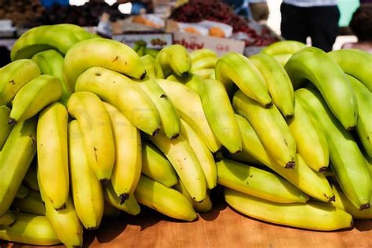 种植香蕉需要什么技术？