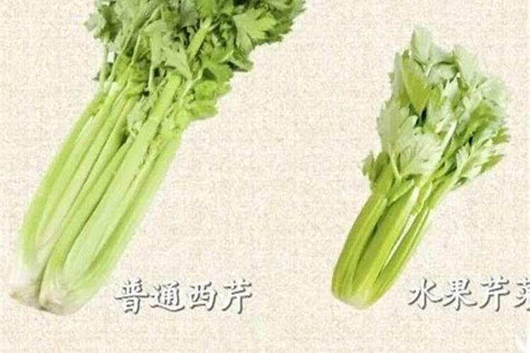 西芹烧心怎么补救？