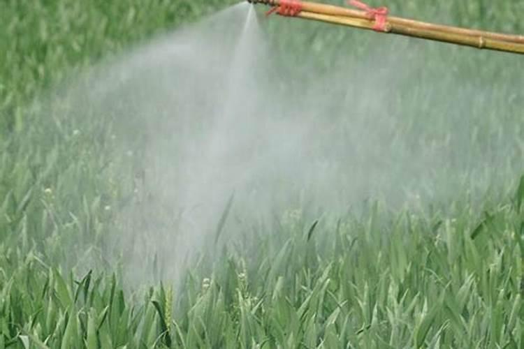 影响叶面肥使用效果的因素