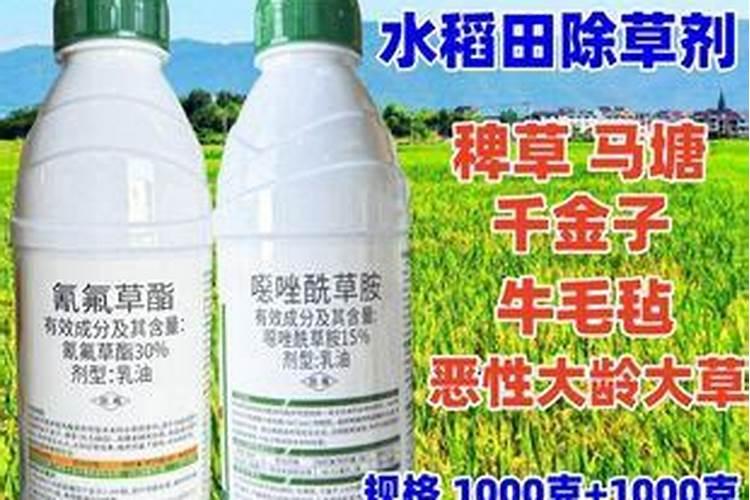 麦田收获后种水稻用什么除草剂除掉麦苗？