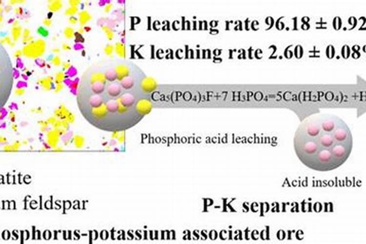 土壤肥力有哪些