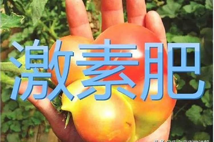 钾肥是什么肥料