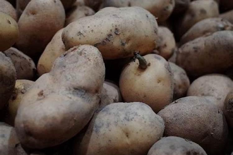 蔬菜打了磷酸二氢钾几天能吃