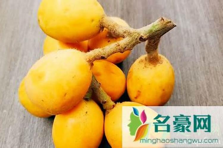 枇杷用哪种肥料能快速增甜？枇杷膨大用哪种肥料比较好？