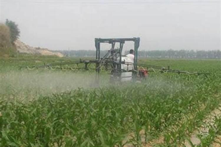 叶面肥排名榜前十名