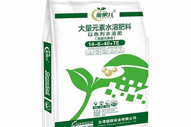 鹤望兰什么时候开花