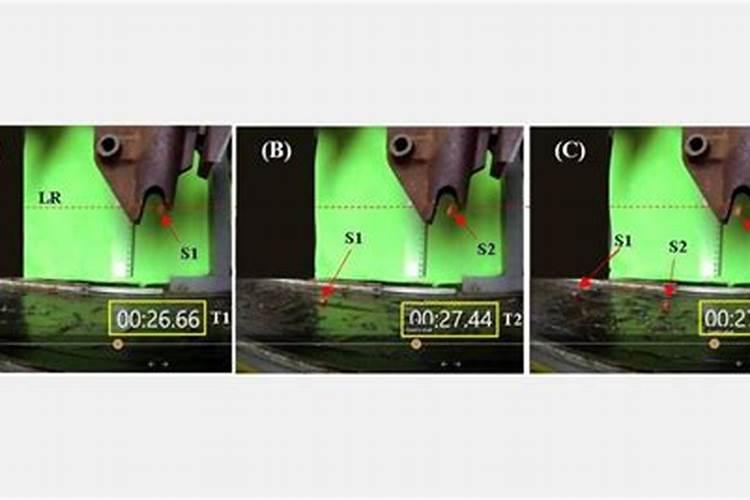 移栽3个月的幼苗是否可以施底肥？