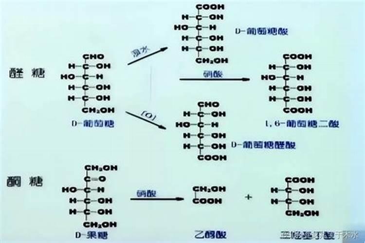 求脂质体制备工艺的流程图