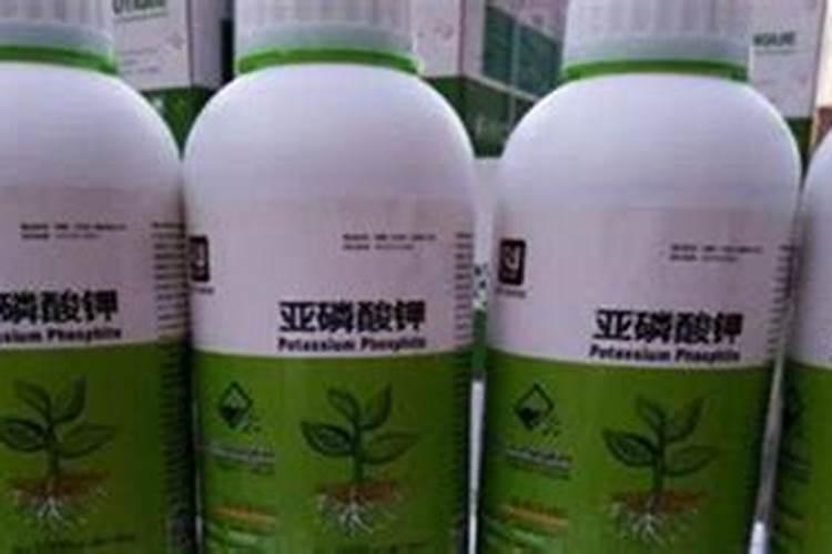 花生膨果用什么药效果好