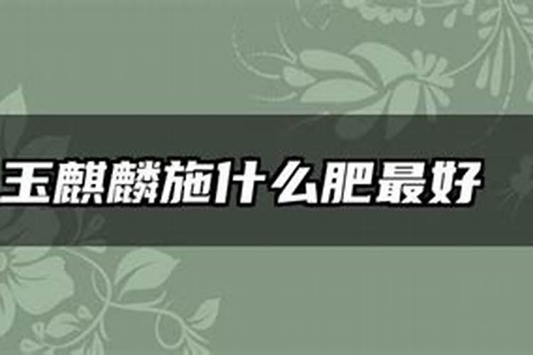 种植麒麟花需要用什么肥料