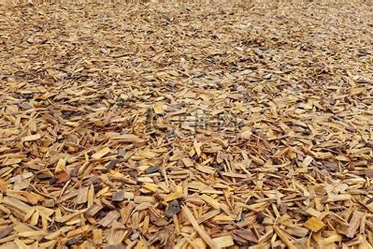 碳肥是什么肥料