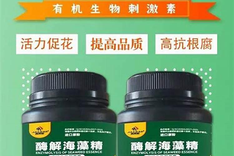 白菜腐烂病用什么农药防治