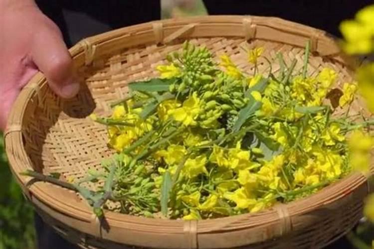 黄腐酸钾是什么肥料