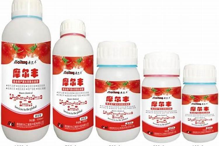 西红柿膨果用哪种叶面肥？需注意什么
