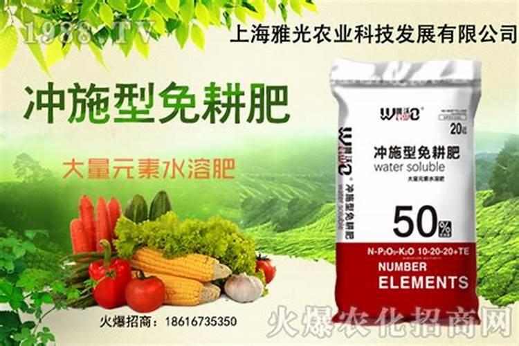 杨梅树施硼肥起什么作用 硼肥的使用方法