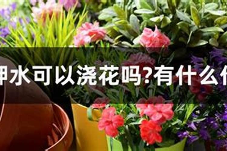 氮肥磷肥钾肥可以同时兑水浇花吗