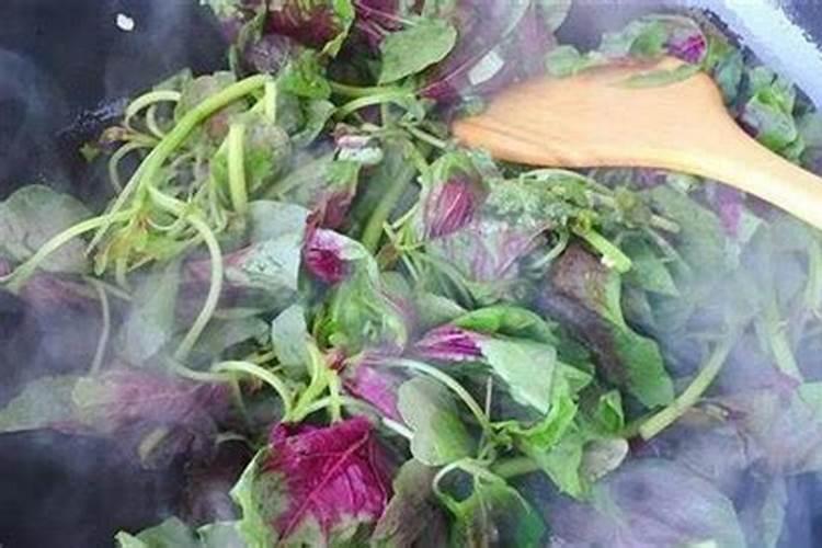 苋菜喜欢什么肥料