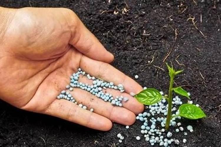 如何提高氮肥磷肥钾肥的利用率 提高氮肥磷肥钾肥的利用率方法