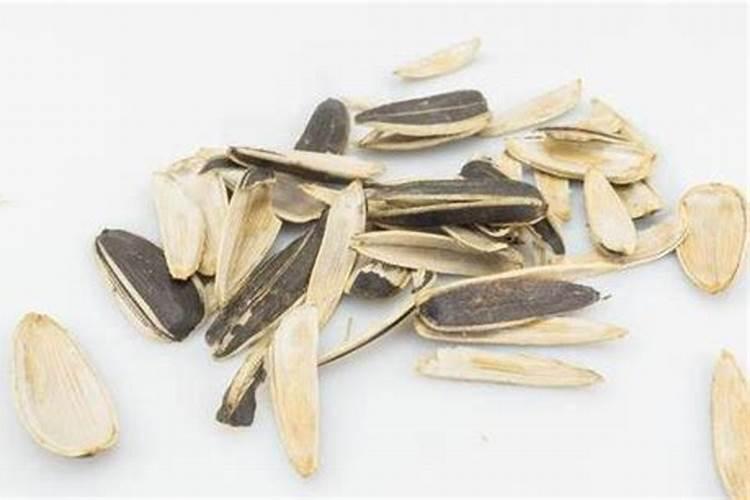 葵花籽壳可以做肥料吗