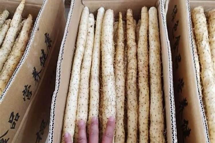 中药材壮根膨大厂家哪家好？中药材壮根膨大用什么肥料好？中药材地下茎块...