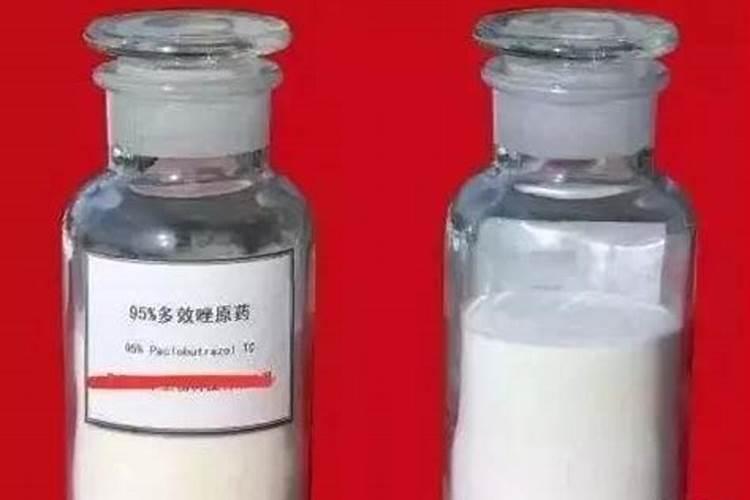 怎样快速解多效唑药害